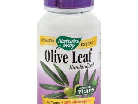 Nature s Way Olive Leaf Standardized 20% Oleuropein - 60 Vegetarian Capsules Sale