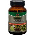 Nature s Answer Green Coffee Bean Extract - 60 Vcaps Online Sale