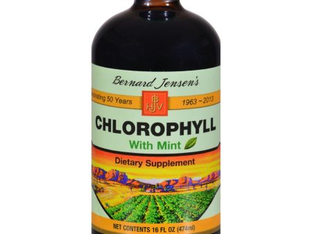 Bernard Jensen Chlorophyll Mint - 16 Fl Oz Online Sale