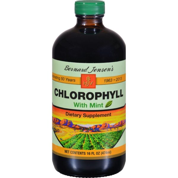 Bernard Jensen Chlorophyll Mint - 16 Fl Oz Online Sale