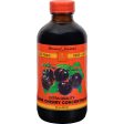 Bernard Jensen Black Cherry Concentrate Extra - 8 Fl Oz Cheap