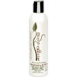 Bio Follicle Conditioner - Rosemary And Mint - 8 Fl Oz Discount