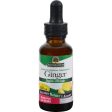 Nature s Answer Ginger Root Extract - 1 Fl Oz Sale