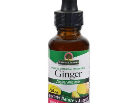 Nature s Answer Ginger Root Extract - 1 Fl Oz Sale