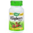 Nature s Way Red Raspberry Leaves - 100 Capsules Online Sale