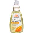 Sun And Earth Liquid Dishwashing Detergent - Light Citrus Scent - Case Of 6 - 22 Oz For Cheap