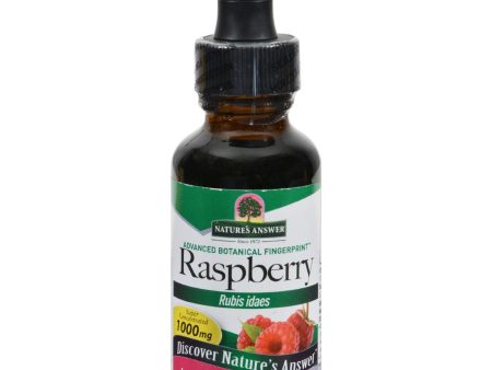 Nature s Answer Raspberry Leaf - 1 Fl Oz Fashion