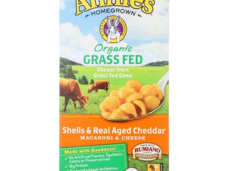 Annies Homegrown Macaroni And Cheese - Organic - Grass Fed - Shells And Real Aged Cheddar - 6 Oz - Case Of 12 Cheap