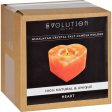 Evolution Salt Tealight Candle Holder - Heart - 1 Count Online Sale