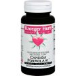 Kroeger Herb Candida Formula # 1 - 100 Capsules Supply