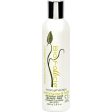 Bio Follicle Shampoo - Lemongrass And Sage - 8 Fl Oz Online now