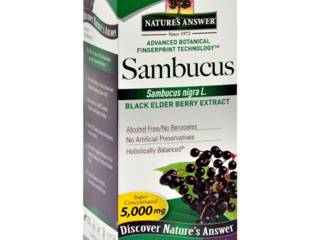 Nature s Answer Sambucus Nigra Black Elder Berry Extract - 4 Fl Oz Online now