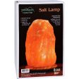 Himalayan Salt Lamp 10 Inch Wood Base Discount