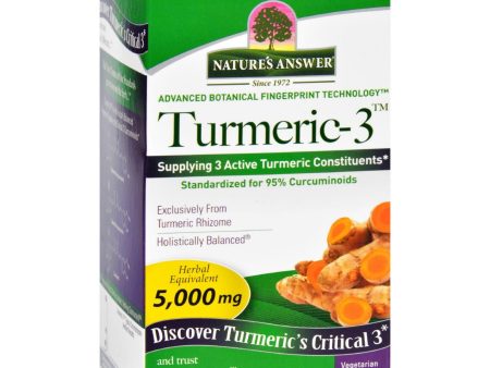 Natures Answer Turmeric-3 - 90 Vegetarian Capsules Online now