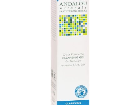 Andalou Naturals Cleansing Gel Citrus Kombucha - 6 Oz Cheap