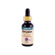 Nature s Answer Bupleurum Root Alcohol Free - 1 Fl Oz Online