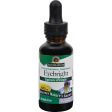 Nature s Answer Eyebright Herb Alcohol Free - 1 Fl Oz Hot on Sale